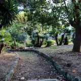 Scendiamo dall�auto per procedere su un sinuoso vialetto che ci conduce ai piedi della villa: siamo immersi nella natura, tra palme nane, chicas e pini